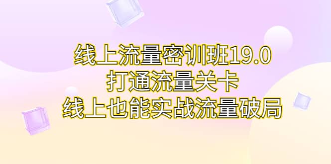 线上流量密训班19.0，打通流量关卡，线上也能实战流量破局-91搞钱