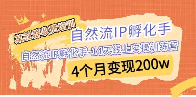 某社群收费培训:自然流IP 孵化手-14天线上实操训练营 4个月变现200w-91搞钱