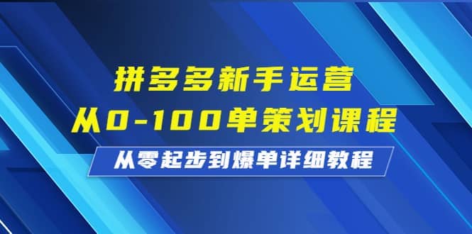 拼多多新手运营从0-100单策划课程,从零起步到爆单详细教程-91搞钱