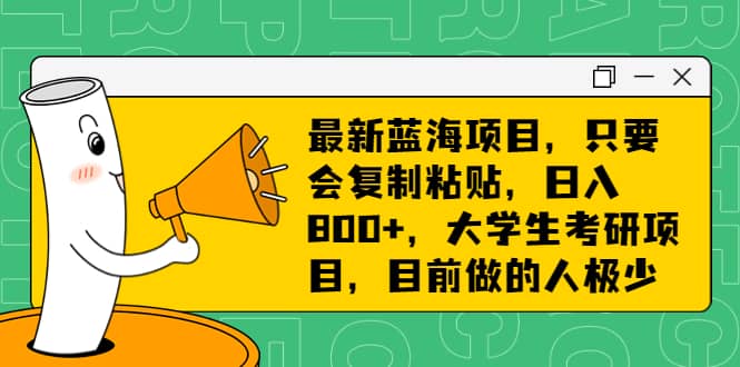 最新蓝海项目，只要会复制粘贴，日入800+，大学生考研项目，目前做的人极少-91搞钱