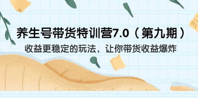 养生号带货特训营7.0(第九期)收益更稳定的玩法 让你带货收益爆炸(11节)-91搞钱
