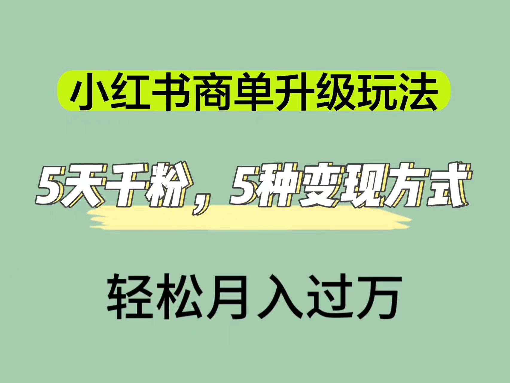小红书商单升级玩法，5天千粉，5种变现渠道，轻松月入1万+-91搞钱