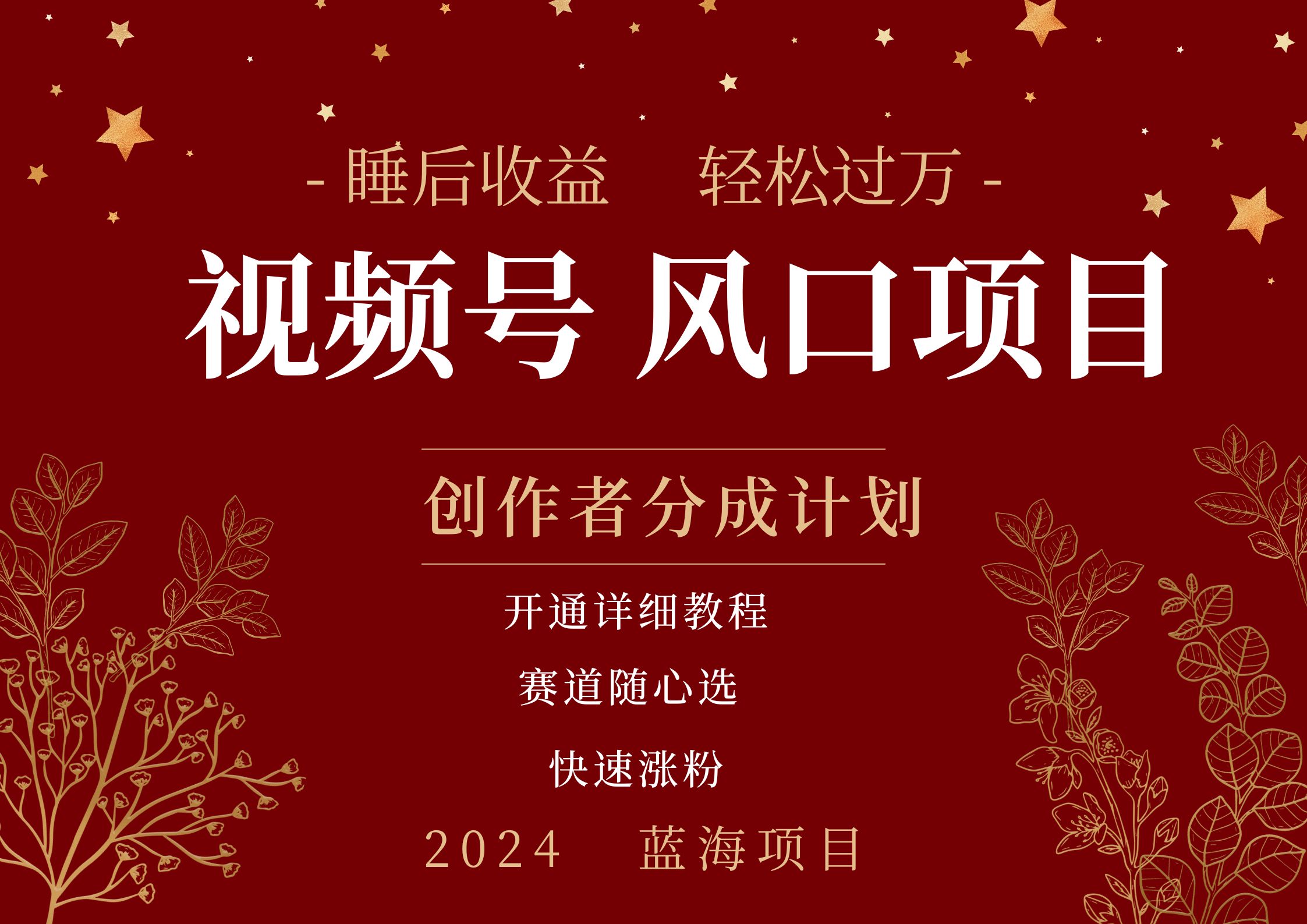 拥有睡眠收益的微信视频号大风口项目，轻松月入过万+，多赛道选择，可矩阵，玩法简单轻松上手-91搞钱