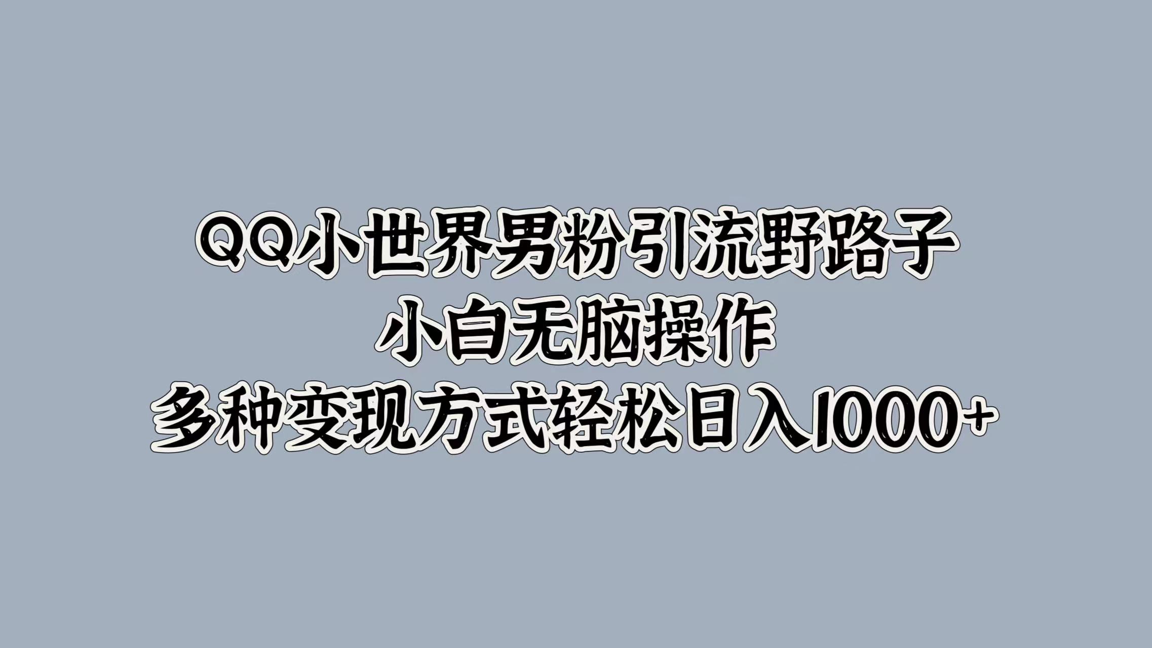 QQ小世界男粉引流野路子,小白无脑操作,多种变现方式轻松日入1000+-91搞钱