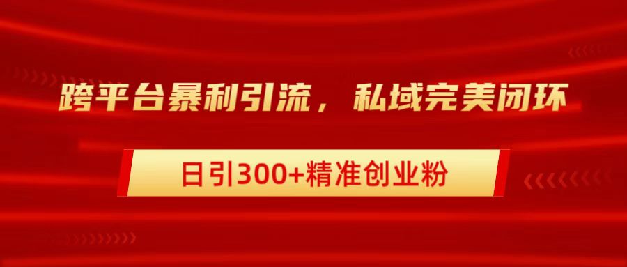 跨平台暴力引流,私域完美闭环,日引300+精准创业粉-91搞钱