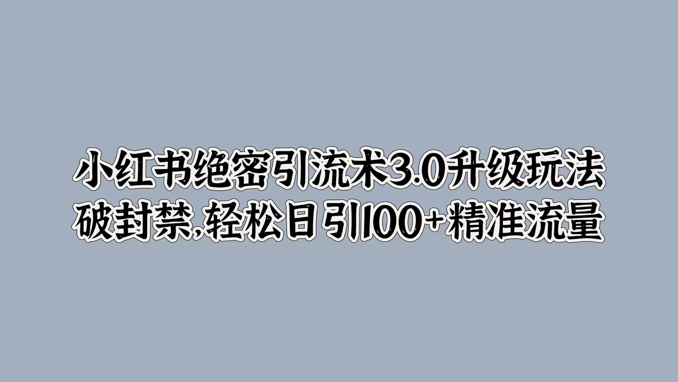小红书绝密引流术3.0升级玩法,破封禁,轻松日引100+精准流量-91搞钱