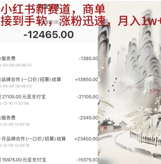 小红书新赛道，商单接到手软，涨粉迅速，一个月1w+-91搞钱