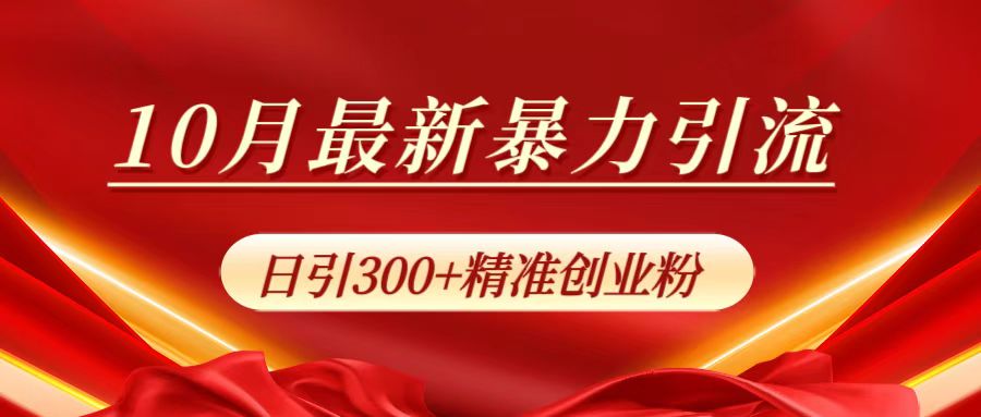 10月最新暴力引流,日引300+精准创业粉-91搞钱