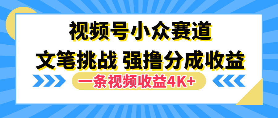 视频号小众赛道,文笔挑战,一条视频收益4K+-91搞钱