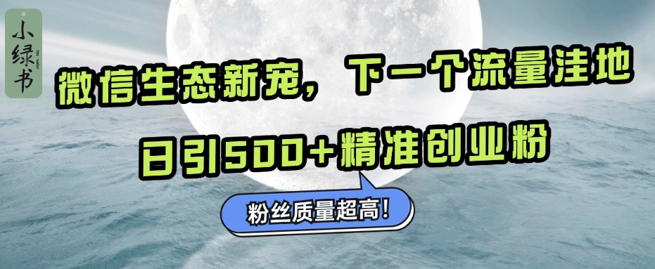 微信生态新宠小绿书:下一个流量洼地,粉丝质量超高,日引500+精准创业粉,-91搞钱