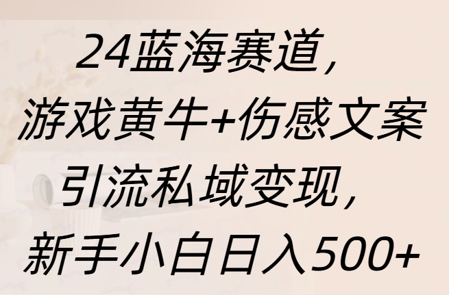 24蓝海赛道，游戏黄牛+伤感文案引流私域变现，新手日入500+-91搞钱