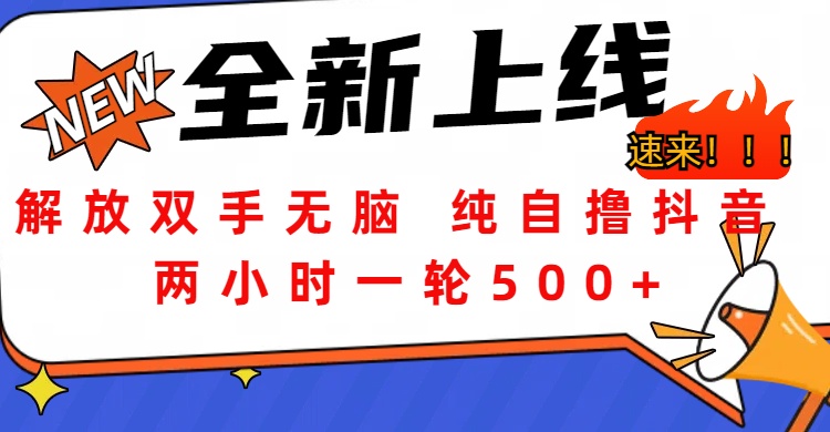 解放双手无脑 纯自撸抖音 两小时一轮500+-91搞钱