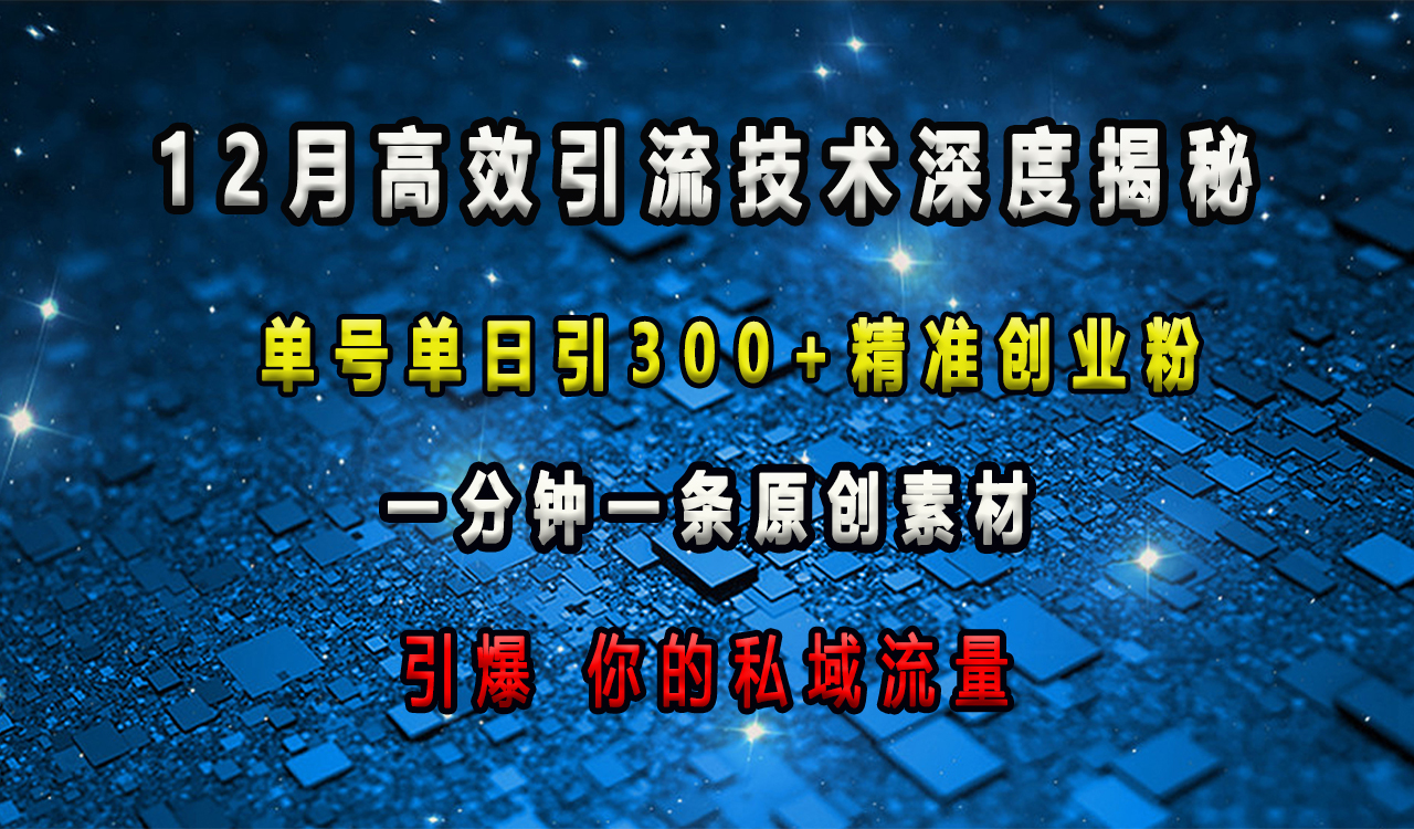 12月高效引流技术深度揭秘 ,单号单日引300+精准创业粉,一分钟一条原创素材,引爆你的私域流量-91搞钱