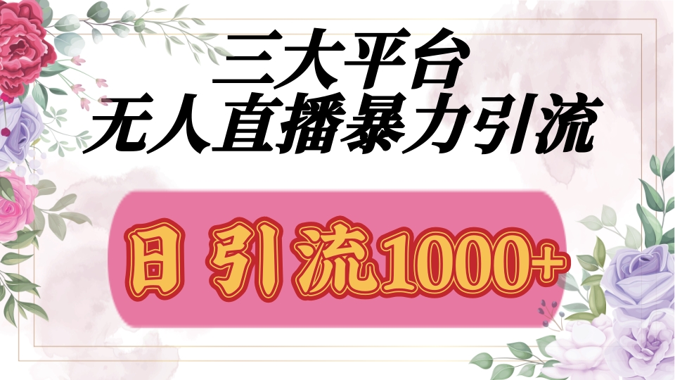 抖音，快手，视频号全平台通用，无人直播引流法，利用图片,模板,整套话术挂机全天支持矩阵操作，无限设备多开，超暴力引流，1000+高质量精准创业粉-91搞钱