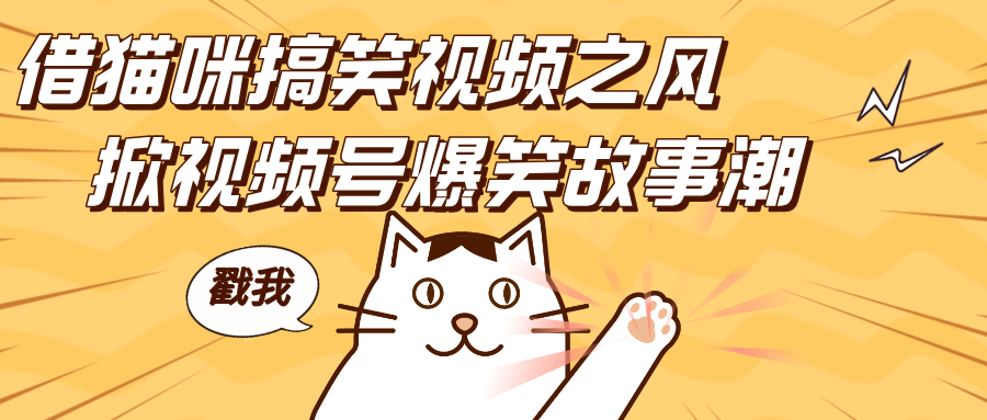 借猫咪搞笑视频之风，掀视频号爆笑故事潮，轻松日赚四位数，开启无门槛赚钱新体验！-91搞钱