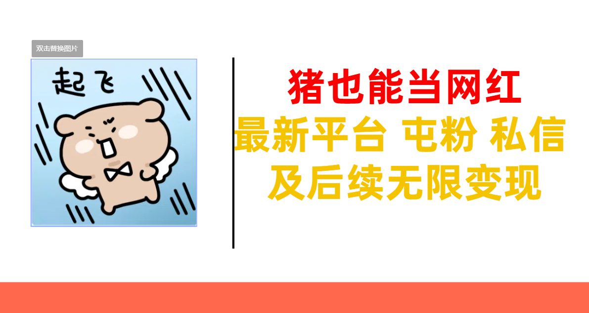 猪也能当网红-最新平台 屯粉 交流 私信 及后续无限变现-91搞钱