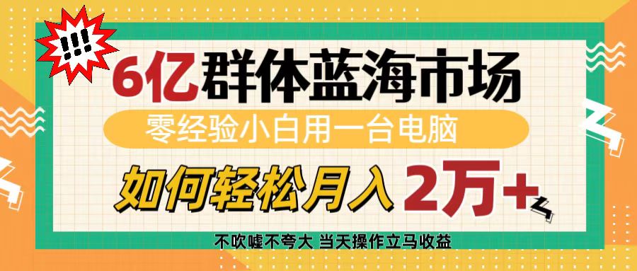 6亿群体蓝海市场,零经验小白用一台电脑,如何轻松月入2万+-91搞钱