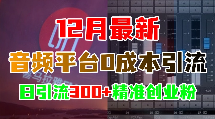 12月最新:音频平台0成本引流,日引300+精准创业粉-91搞钱