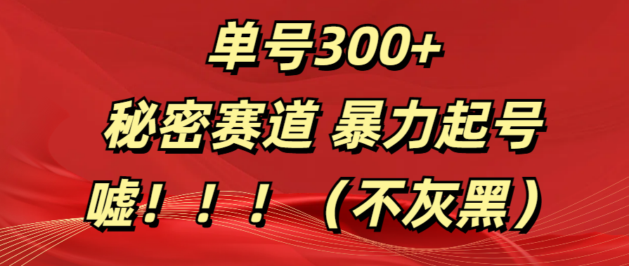 单号300+  秘密赛道 暴力起号  （不灰黑）-91搞钱