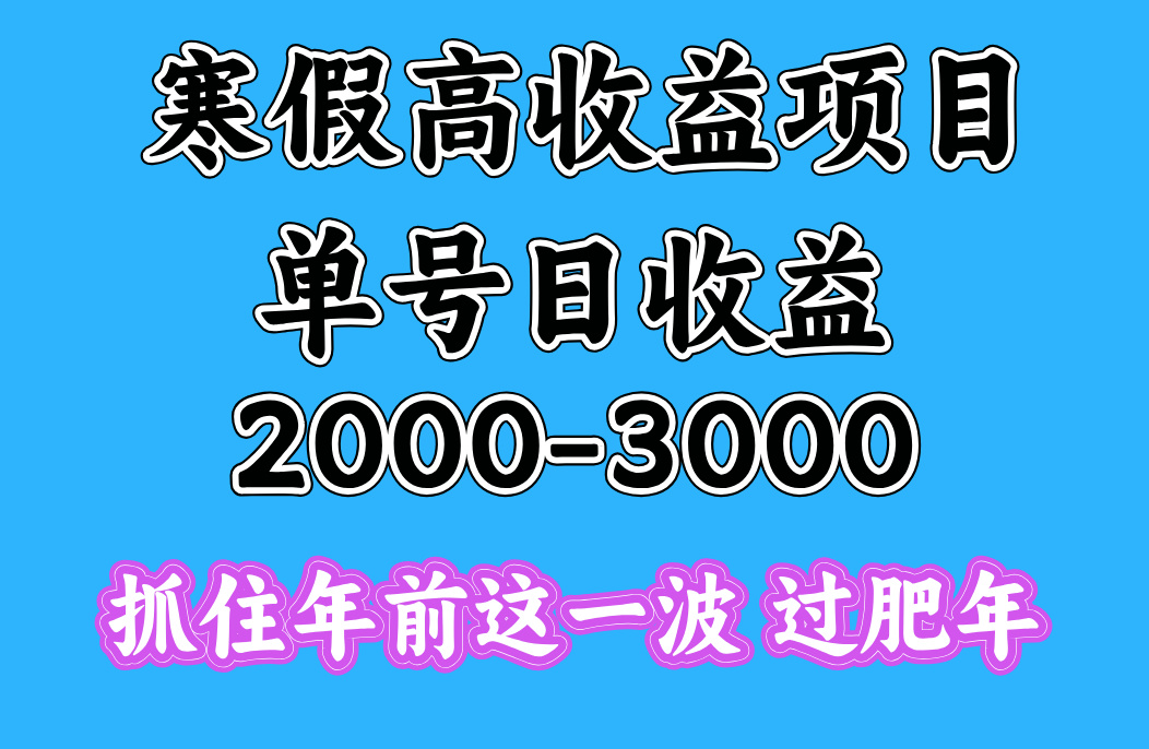 寒假期间一天收益2000-3000+，抓住年前这一波-91搞钱