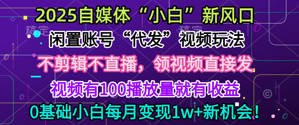 2025每月躺赚5w+新机会，闲置视频账号一键代发玩法，0粉不实名不剪辑，领了视频直接发，0基础小白也能日入300+-91搞钱