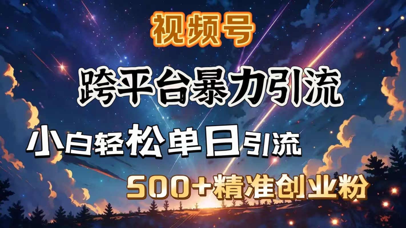 视频号跨平台暴力引流,小白轻松单日引流500+精准创业粉-91搞钱