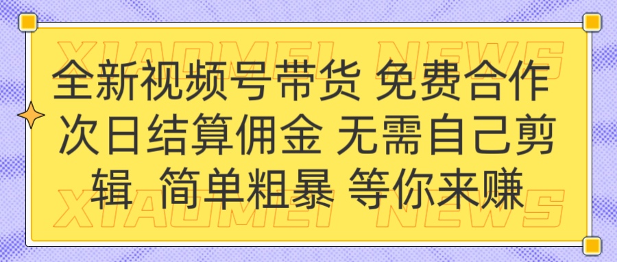 全新视频号 免费合作 佣金次日结算 无需自己剪辑-91搞钱