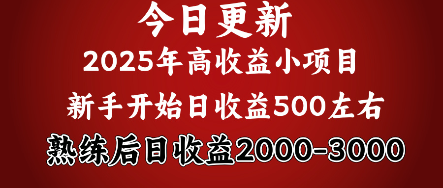 2025开年好项目，新手日收益500+ 熟练掌握后，日收益平均2000多-91搞钱