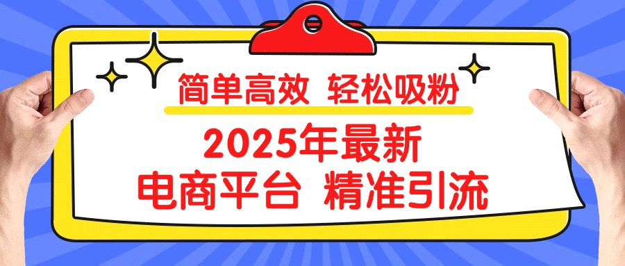 2025年最新电商平台精准引流 简单高效 轻松吸粉-91搞钱