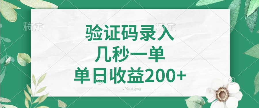验证码录入，几秒一单，单日收益200+-91搞钱