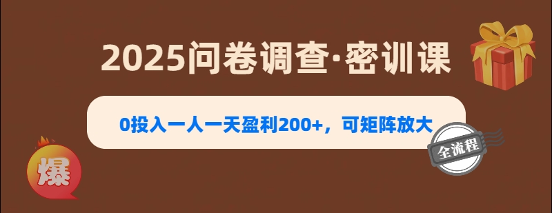2025《问卷调查》0投入一人一天盈利200+，可矩阵放大-91搞钱