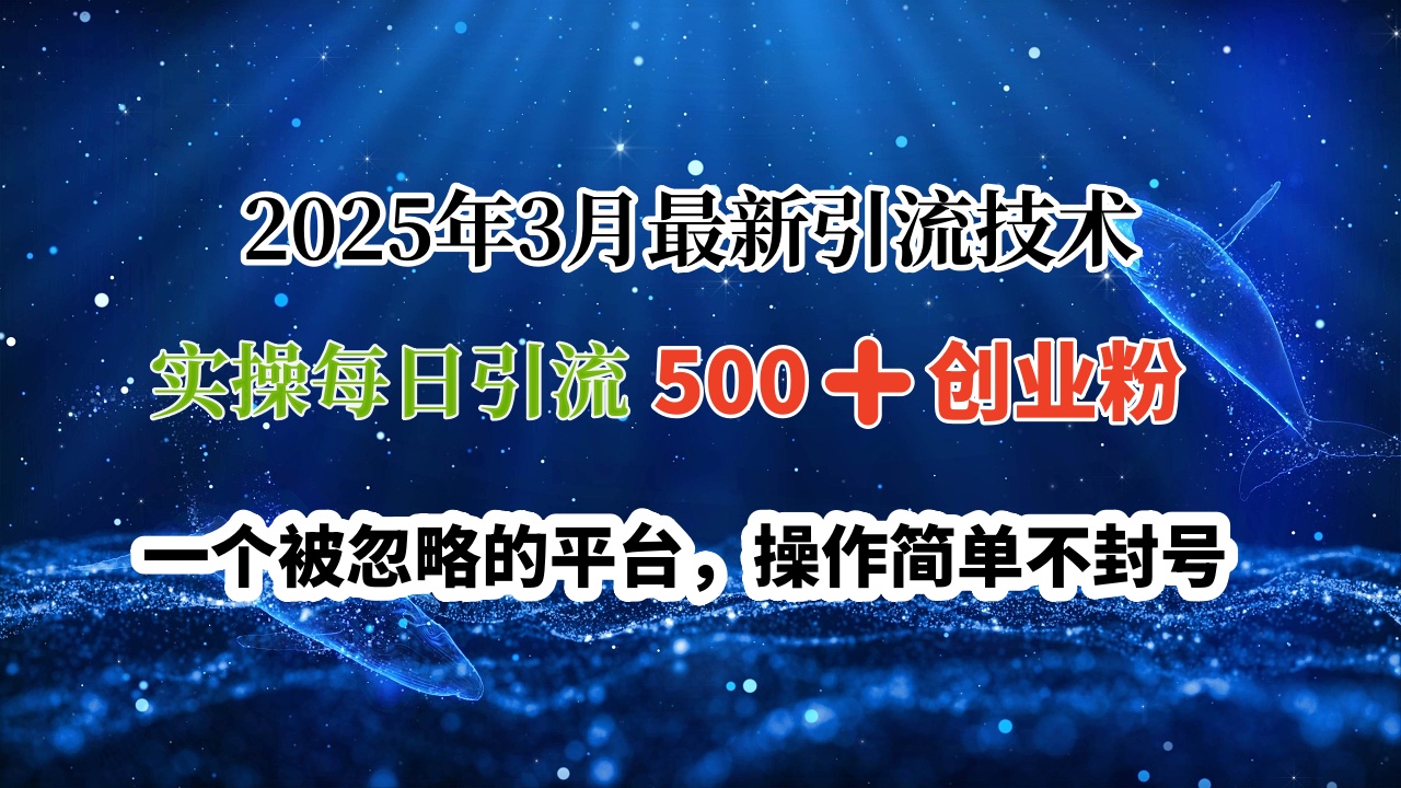 2025年3月最新引流技术，实操每日引流500➕创业粉，一个被忽略的平台，操作简单不封号-91搞钱