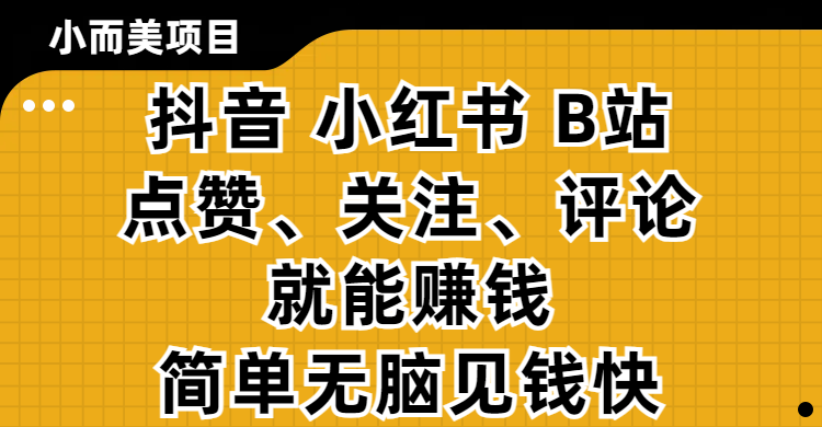 小而美的项目，抖音、小红书、B站视频点赞、关注、评论就能赚钱，简单无脑立见收益！妥妥的零撸项目-91搞钱