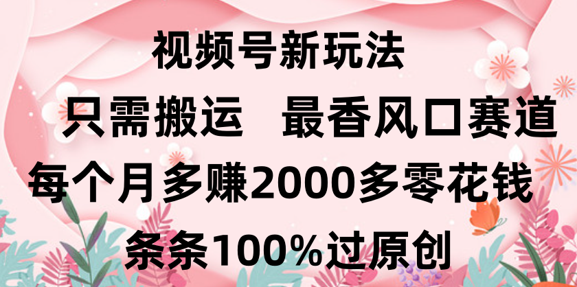 日入2000+,条条100%过原创,视频号最香风口赛道,小白轻松上手-91搞钱