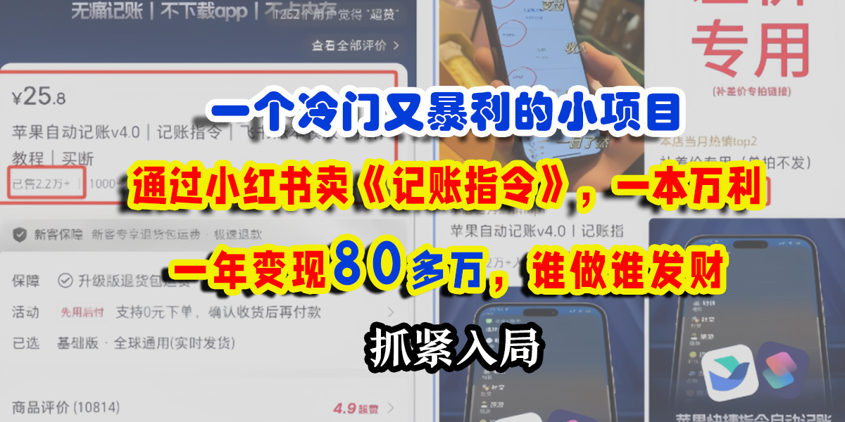 一个冷门又暴利的小项目,通过小红书卖《记账指令》,一本万利,一年变现80多万,谁做谁发财-91搞钱