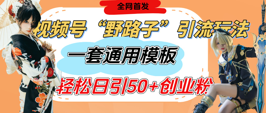 视频号“野路子”玩法,评论区疯狂截流,一套模板单日单号引流50+创业粉-91搞钱