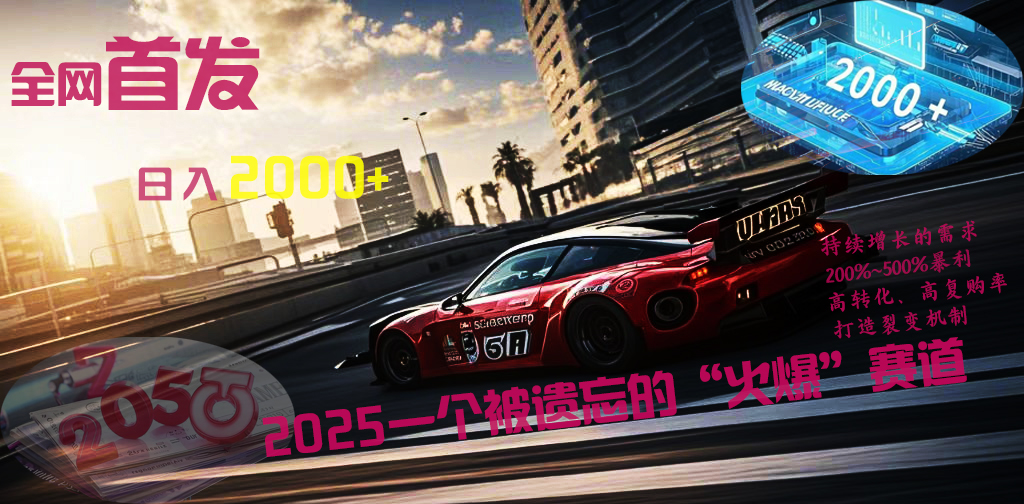 全网首发：2025一个被遗忘的“火爆”赛道轻松日入2000+-91搞钱