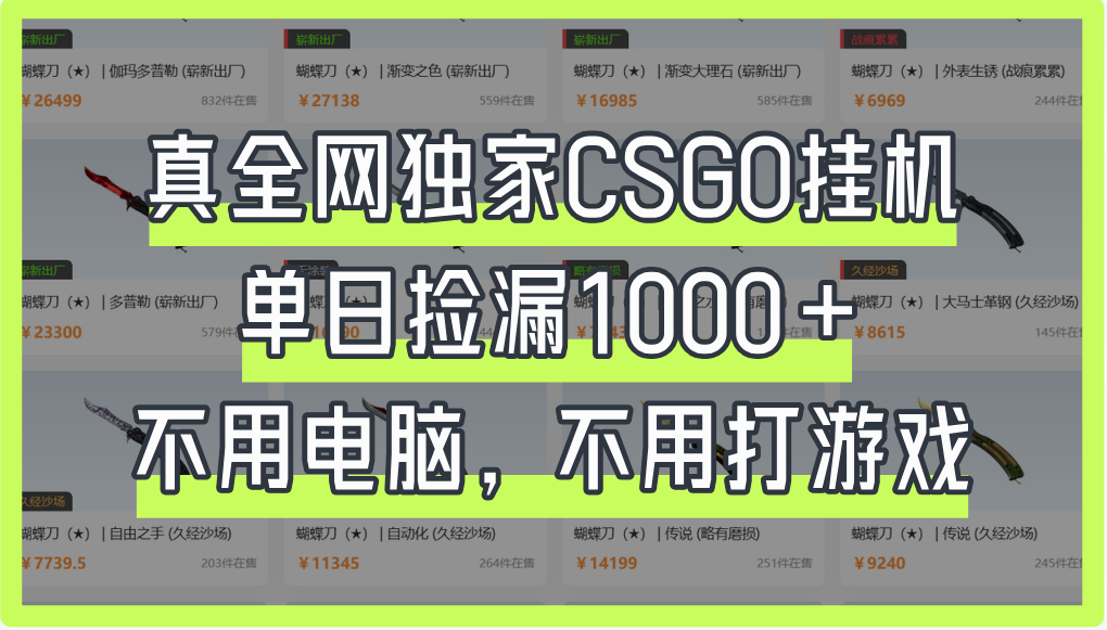 真全网独家CSGO挂机,单日捡漏1000+-91搞钱