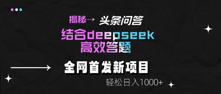 揭秘头条问答新玩法！结合deepseek高效答题，轻松日入1000+-91搞钱