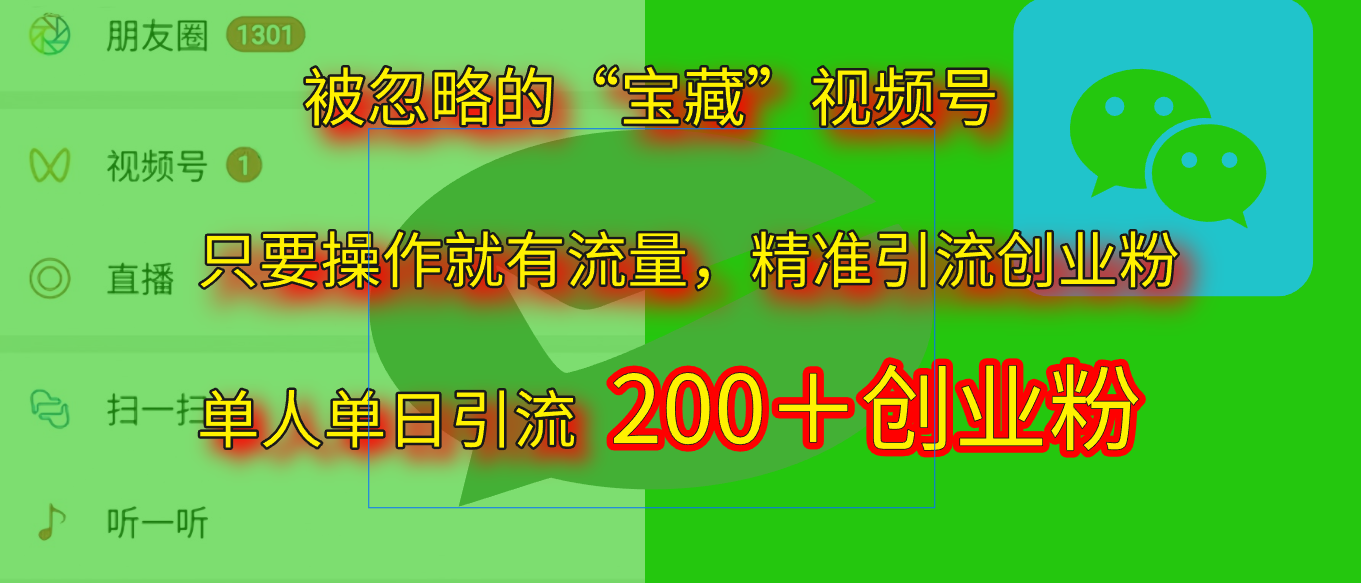 2025.5月最新被忽略的“宝藏”视频号，精准日引流200+-91搞钱