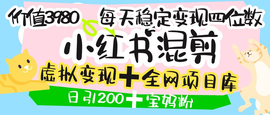 价值3980的小红书混剪, 虚拟变现 +全网项目库 , 日引200+宝妈创业粉,每天稳定四位数变现-91搞钱