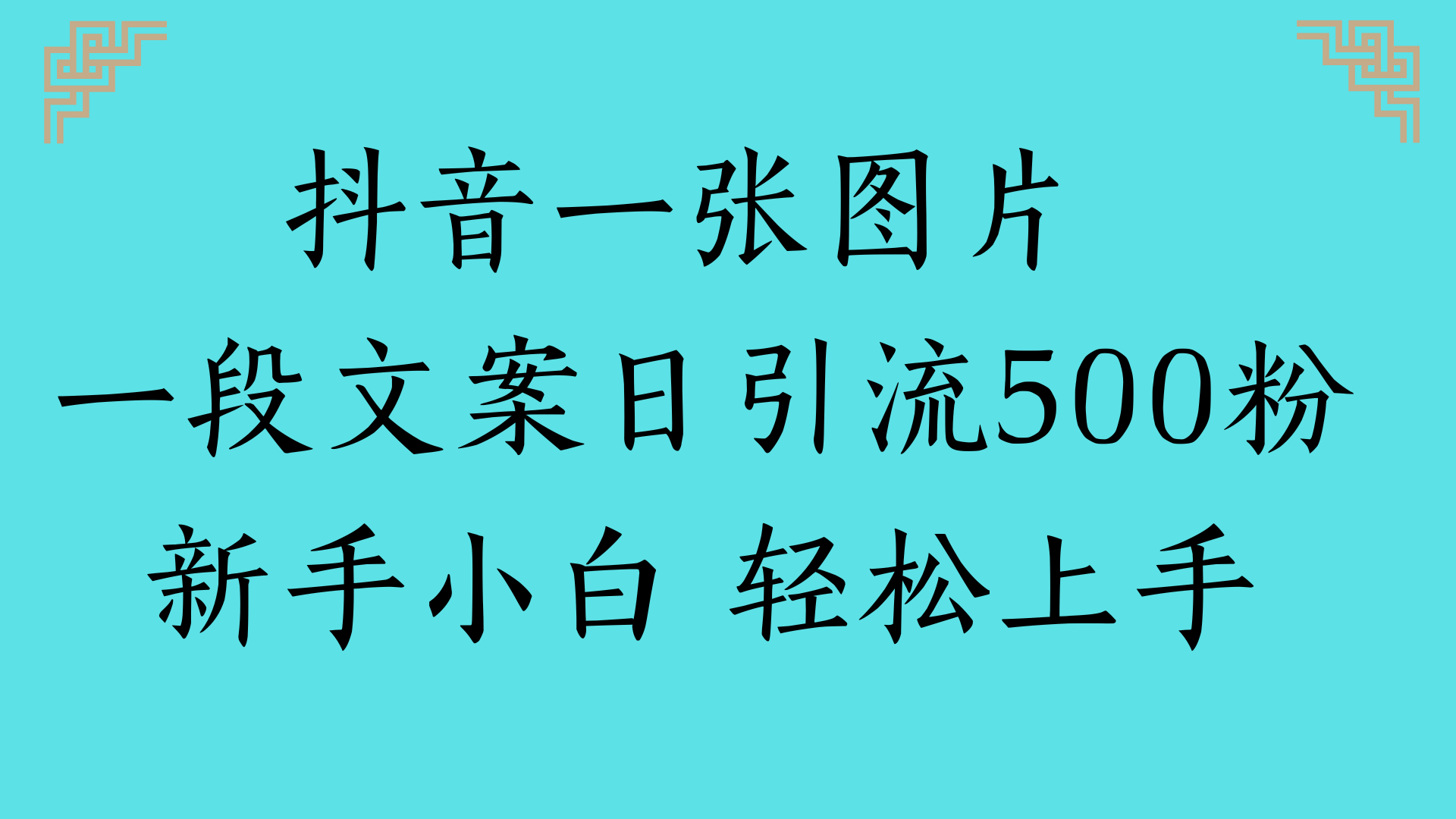 抖音一张图片 一段文案日引流500粉新手小白 轻松上手-91搞钱