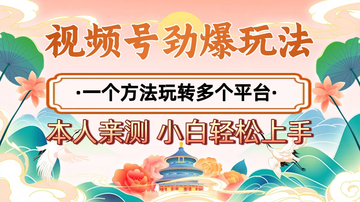 2025年视频号劲爆玩法，一个方法玩转多个平台 小白也能轻松上手-91搞钱