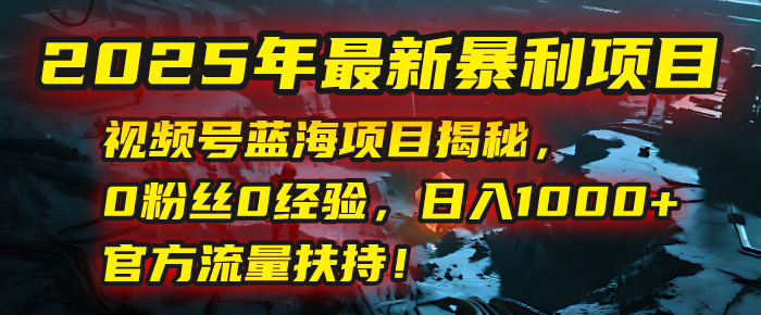 2025年最新暴利项目：视频号蓝海项目揭秘，0粉丝0经验，日入1000+，官方流量扶持！-91搞钱