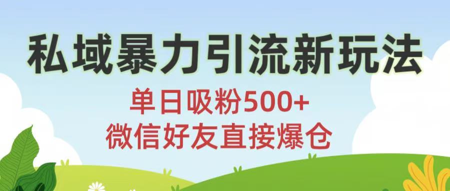 私域暴力引流新玩法!单日吸粉500+，微信好友直接爆仓-91搞钱