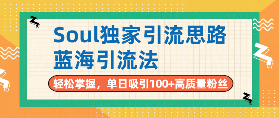 Soul独家引流思路，单日吸引100+高质量粉丝，蓝海引流法，轻松掌握-91搞钱
