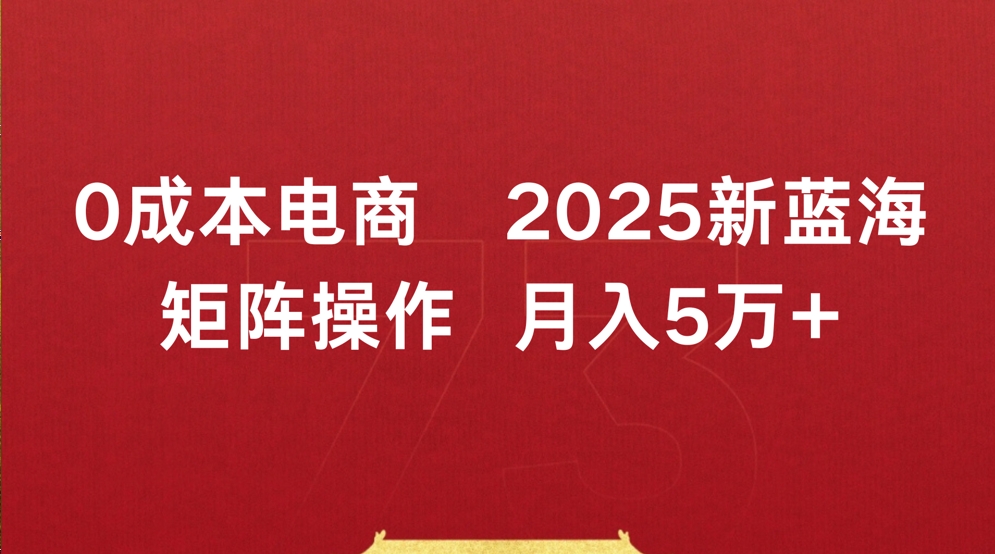 0成本电商2025新蓝海矩阵操作 月入5万+-91搞钱