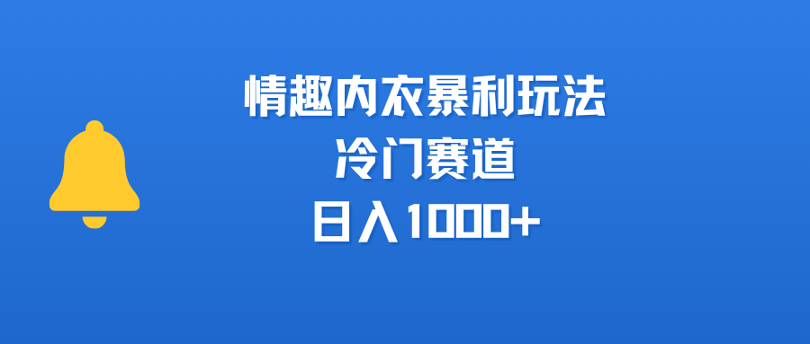 情趣内衣暴利玩法,冷门赛道,日入1000+-91搞钱
