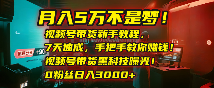 月入5万不是梦！视频号带货新手教程，7天速成，手把手教你赚钱！视频号带货黑科技曝光！0粉丝日入3000+-91搞钱