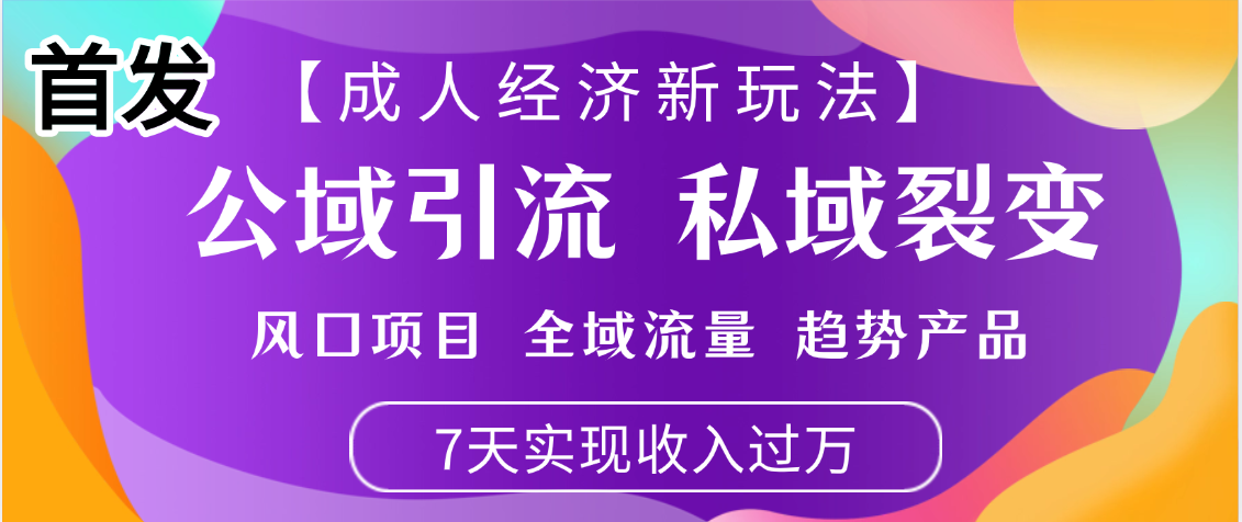 首发:【成人经济新玩法】市面独家玩法,风口项目、全域流量、趋势产品,7天实现月入过万-91搞钱